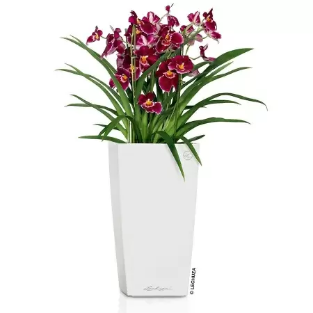 Кашпо Lechuza Cubico Premium