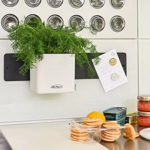 Настенное кашпо Lechuza Green Wall Home Kit Color Настенное кашпо Lechuza Green Wall Home Kit Color