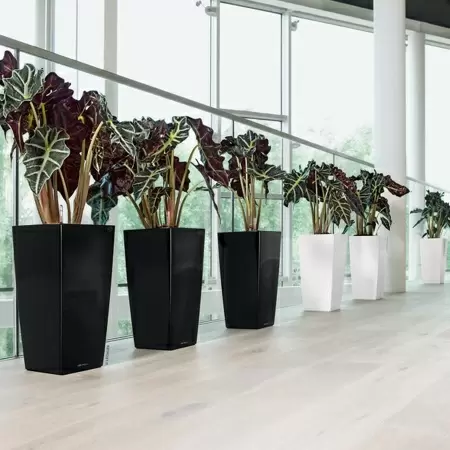 Кашпо Lechuza Cubico Premium