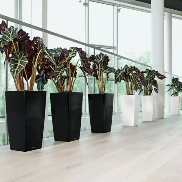 Кашпо Lechuza Cubico Premium