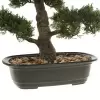 Дерево искусственное Бонсай
