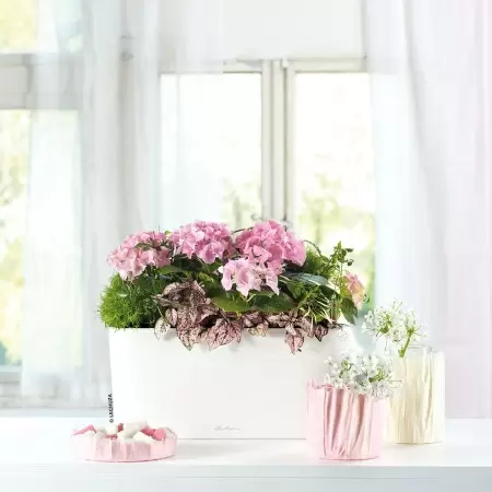 Кашпо Lechuza Delta 20