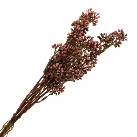 Вереск искусственный