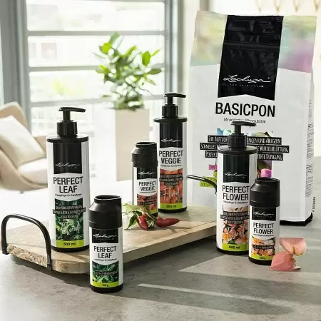 Субстрат Lechuza BASICPON
