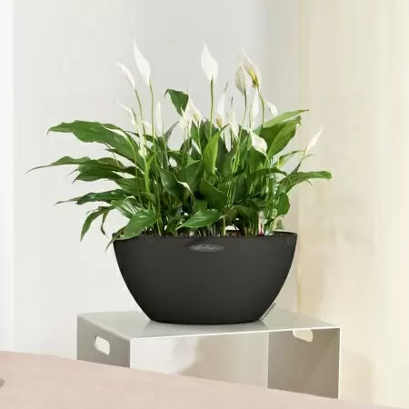 Кашпо Lechuza Cubeto Stone