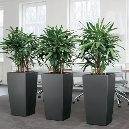 Кашпо Lechuza Cubico Premium Кашпо Lechuza Cubico Premium