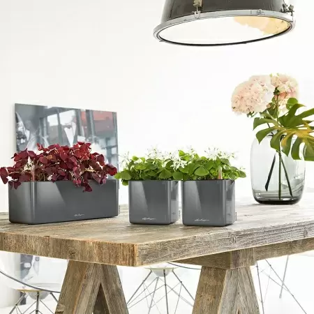 Кашпо Lechuza Cube Glossy