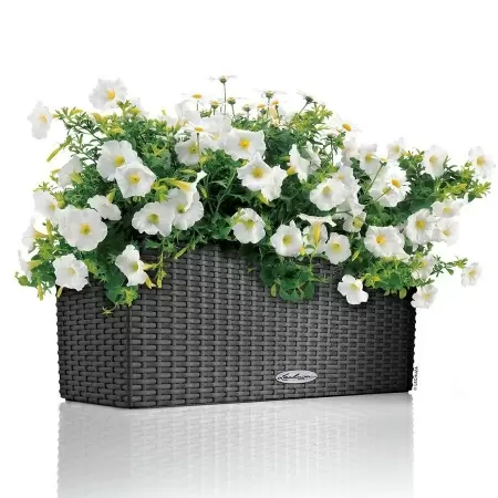 Кашпо Lechuza Balconera Cottage 50 Кашпо Lechuza Balconera Cottage 50