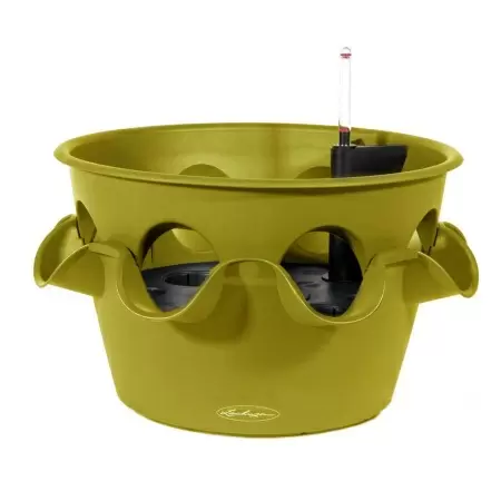 Кашпо Lechuza Cascadino Color