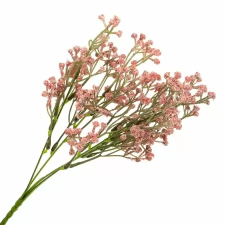 Гипсофила искусственная