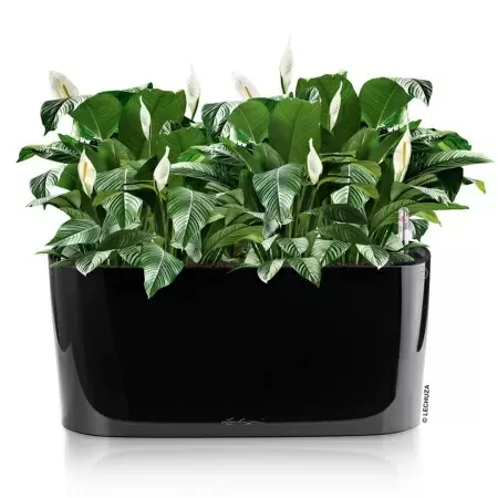 Кашпо Lechuza Delta 20