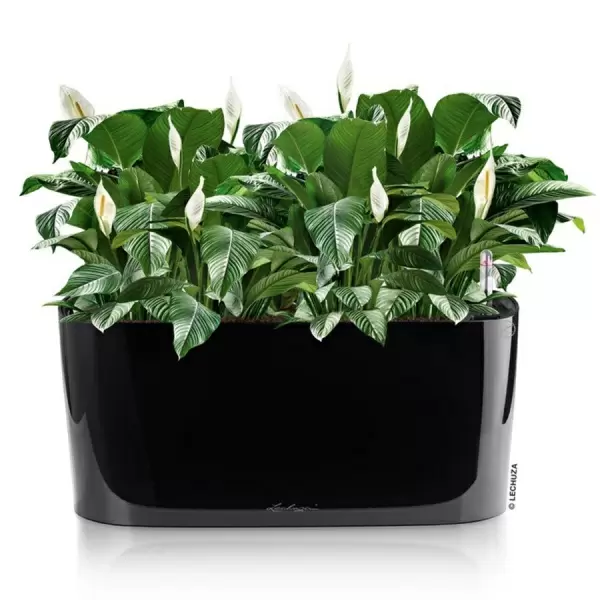 Кашпо Lechuza Delta 20