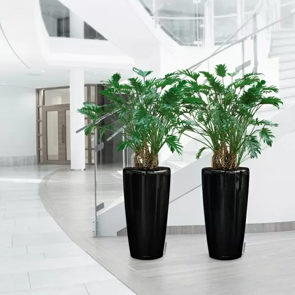 Кашпо Lechuza Rondo