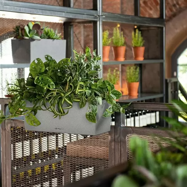 Кашпо Lechuza Balconera Stone 50 Кашпо Lechuza Balconera Stone 50