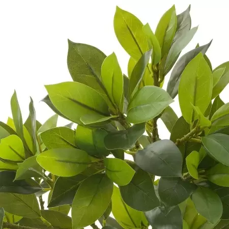 Дерево искусственное Фагрея