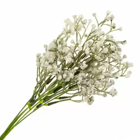 Гипсофила искусственная