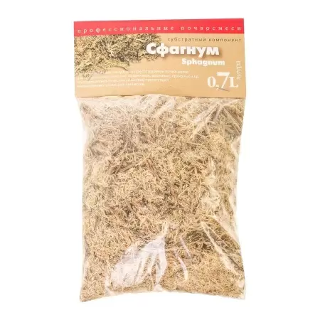 Сфагнум Мох