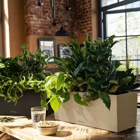 Кашпо Lechuza Balconera Stone 50 Кашпо Lechuza Balconera Stone 50