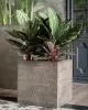 Прямоугольный горшок Wood Cube Прямоугольный горшок Wood Cube фото
