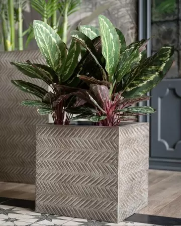Прямоугольный горшок Wood Cube Прямоугольный горшок Wood Cube фото