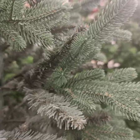 Ель искусственная Верона