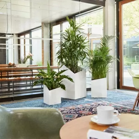 Кашпо Lechuza Cursivo