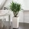 Кашпо Lechuza Cubico Color Кашпо Lechuza Cubico Color