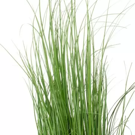 Речная искусственная трава 