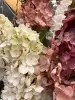 Гортензия метельчатая искусственная