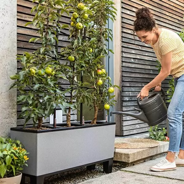 Кашпо Lechuza TRIO Stone