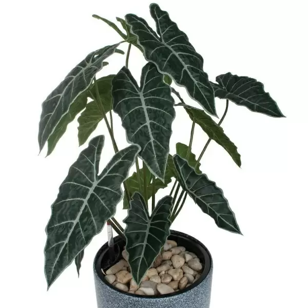 Искусственное растение Алоказия в горшке Vase Stone