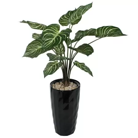 Растение искусственное Калатея в горшке Vase Rib