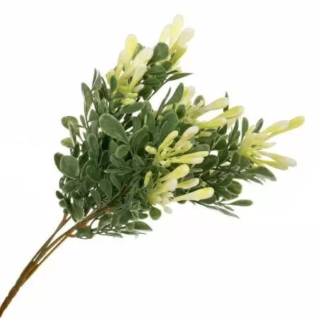 Барбарис искусственный