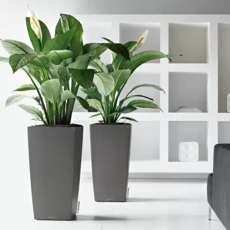 Кашпо Lechuza Cubico Premium