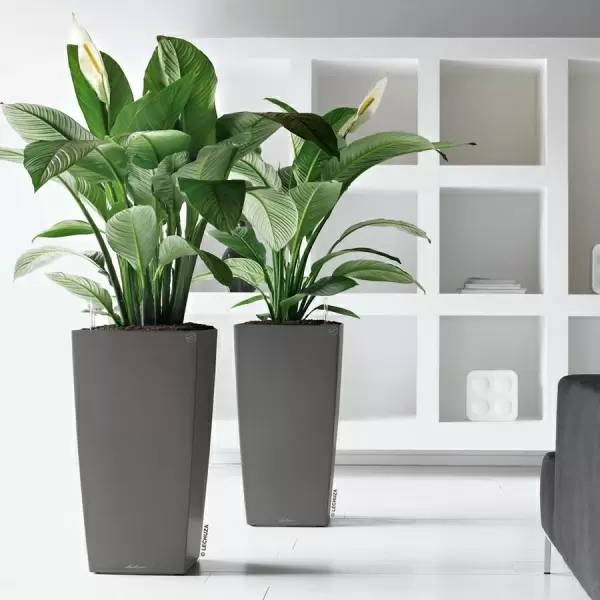 Кашпо Lechuza Cubico Premium