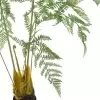 Папоротник искусственный Папоротник искусственный