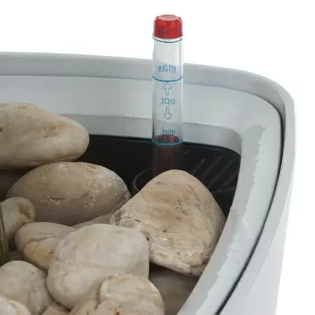 Растение искусственное Калатея в горшке Crater Silk