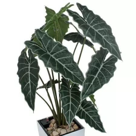 Искусственное растение Алоказия в горшке Conic Silk