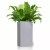 Кашпо Lechuza Canto Stone high