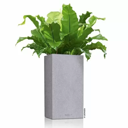 Кашпо Lechuza Canto Stone high