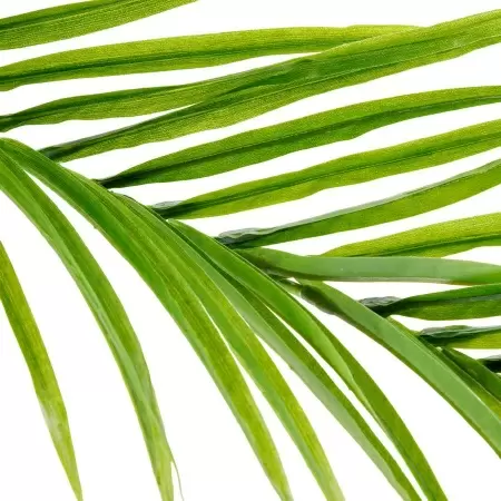 Пальма Арека искусственная