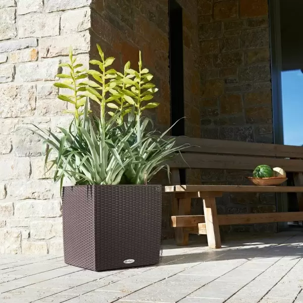 Кашпо Lechuza Cube Cottage Кашпо Lechuza Cube Cottage