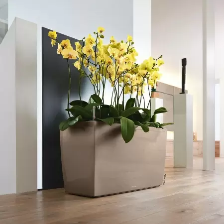 Кашпо Lechuza Cararo Кашпо Lechuza Cararo