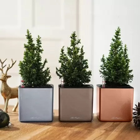 Кашпо Lechuza Cube Glossy