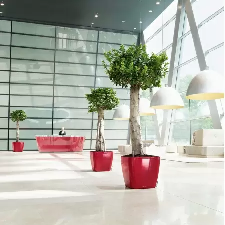 Кашпо Lechuza Quadro LS