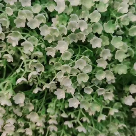 Искусственный самшит для декора