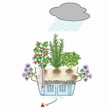 Кашпо Lechuza Cascada Color Кашпо Lechuza Cascada Color