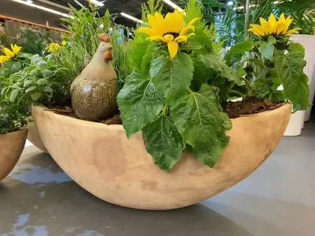 Цветочный горшок Mterra Boat