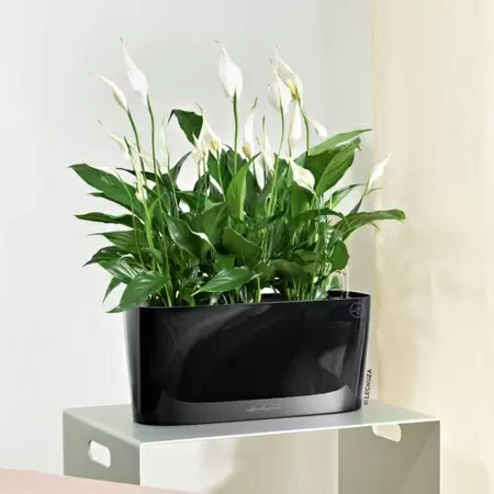 Кашпо Lechuza Delta 20