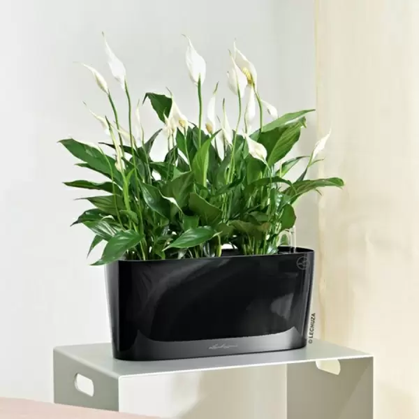 Кашпо Lechuza Delta 20